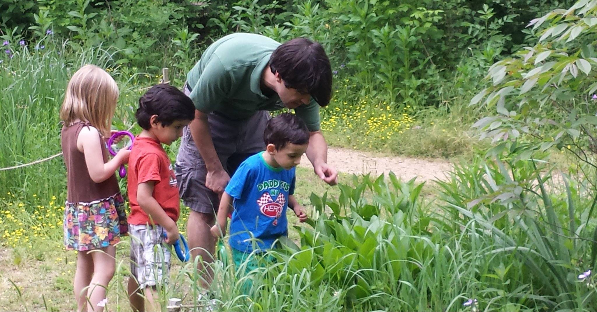 Discovery Nature Day Camp