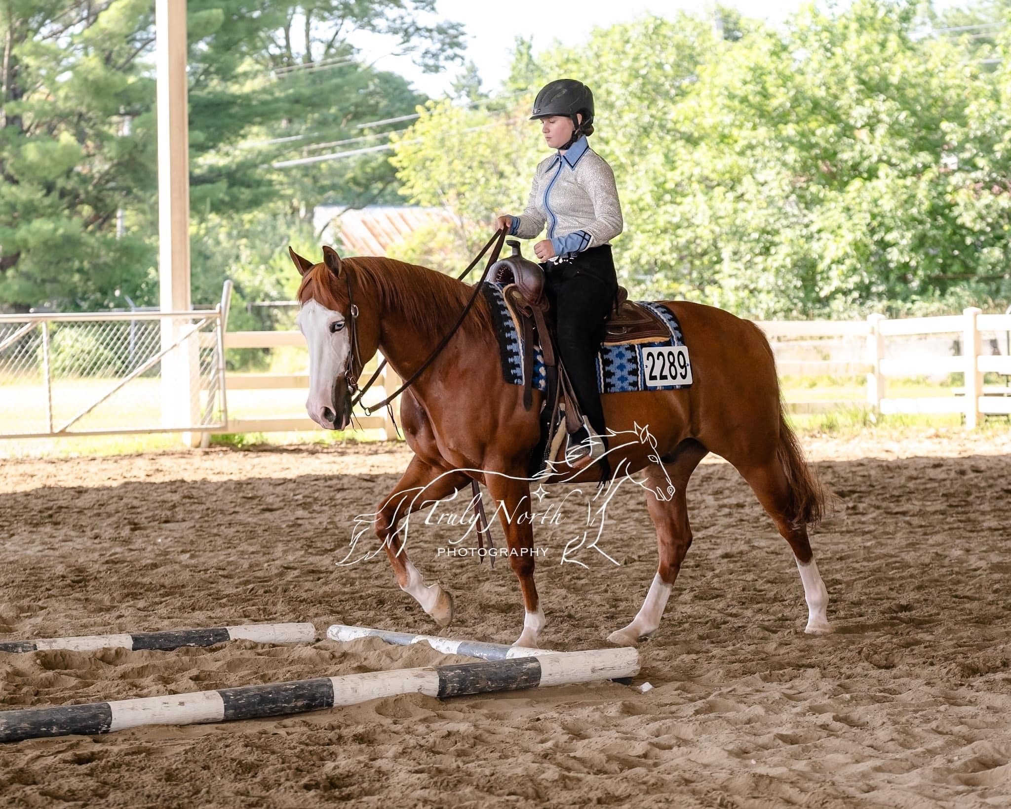 Double L Stable Equestrian Center