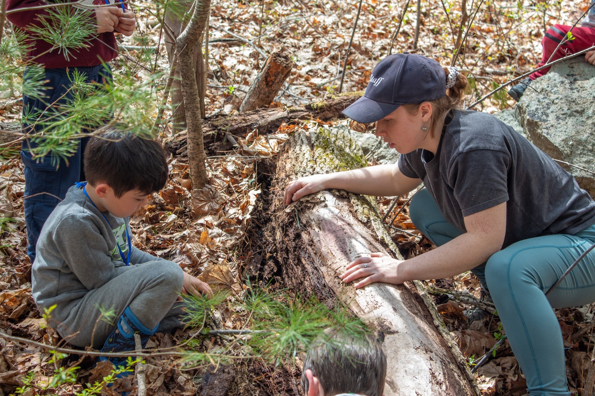 Drumlin Farm Day Camp photo 1