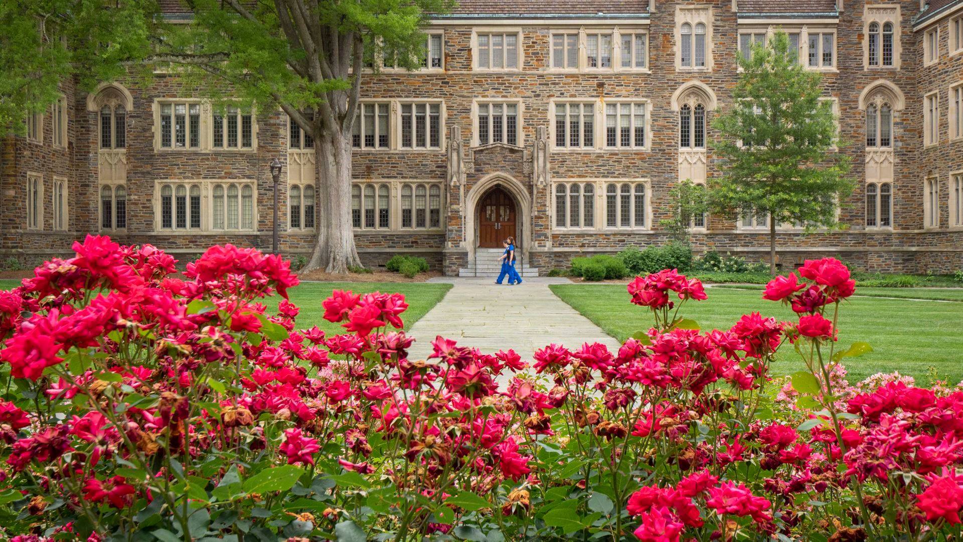Marist College: Summer Psychology Institute photo 1