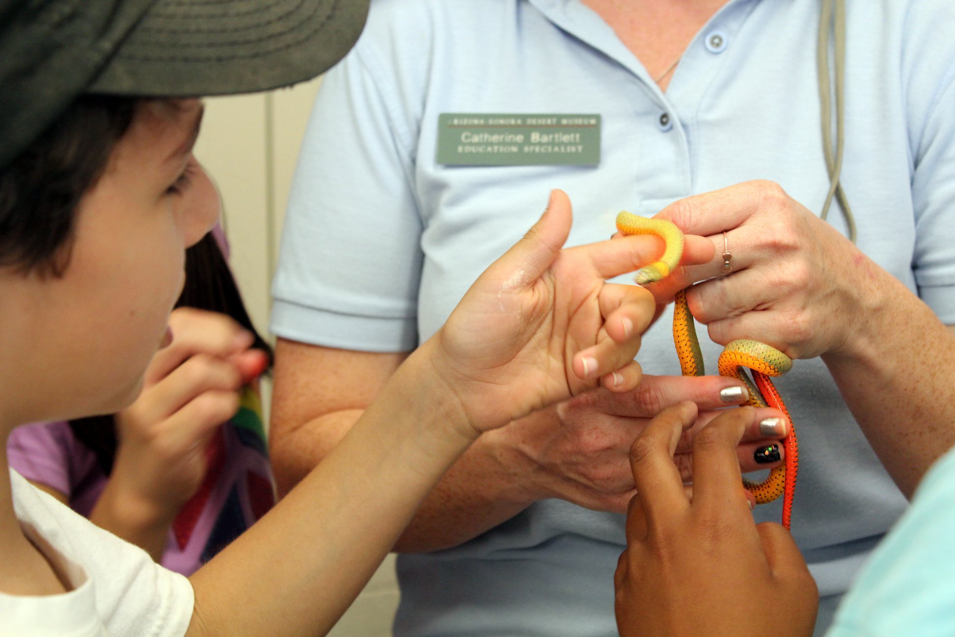 Rein Teen Tours photo 1