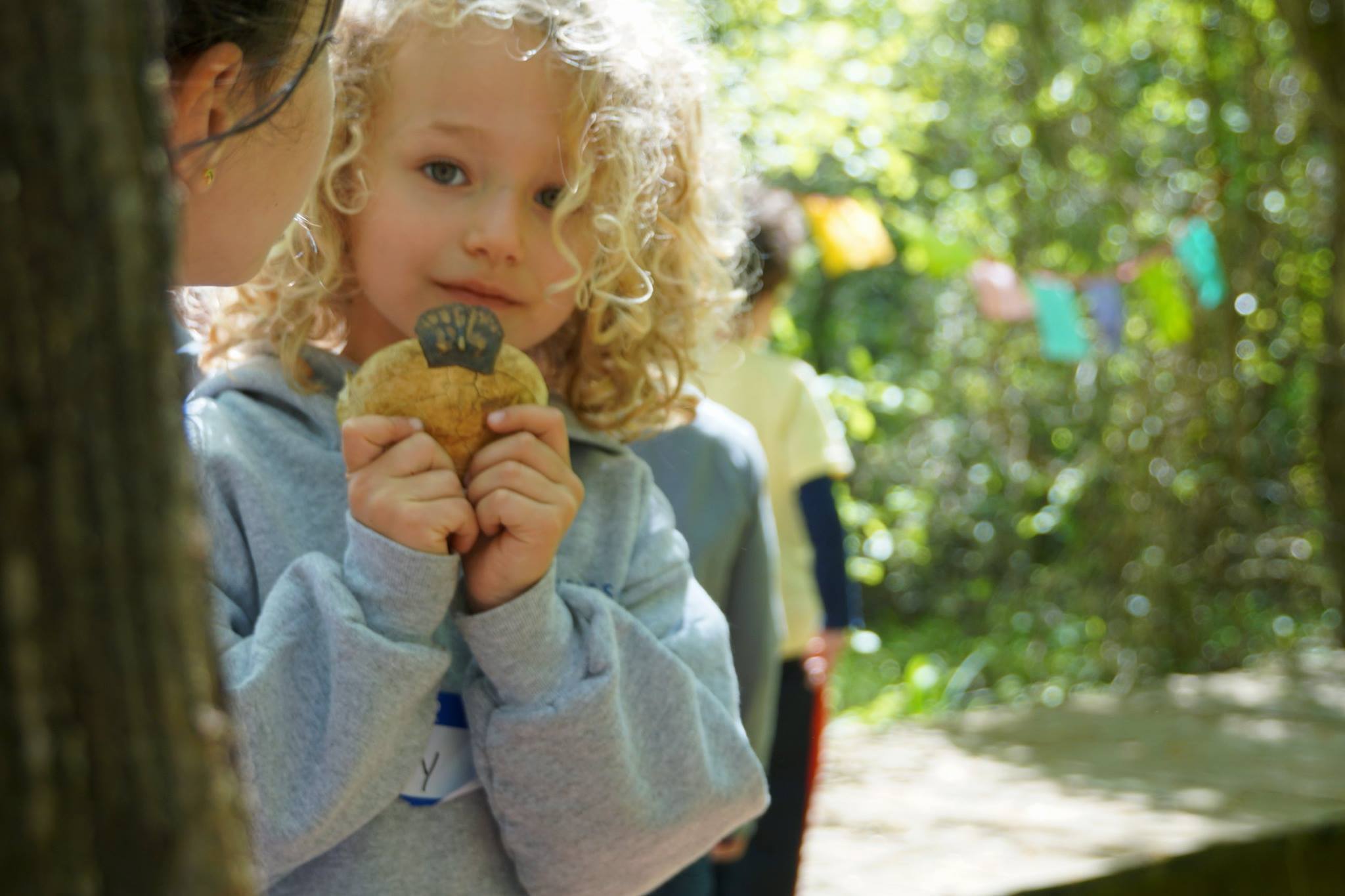 Education, Imagination & the Natural World