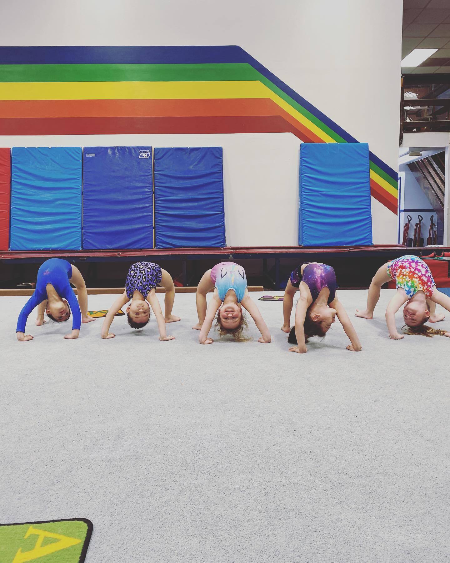 Elite Gymnastics Camps photo 1