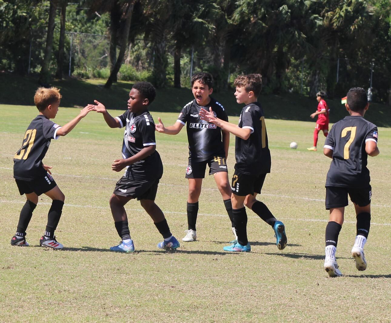 Elite Soccer photo 1