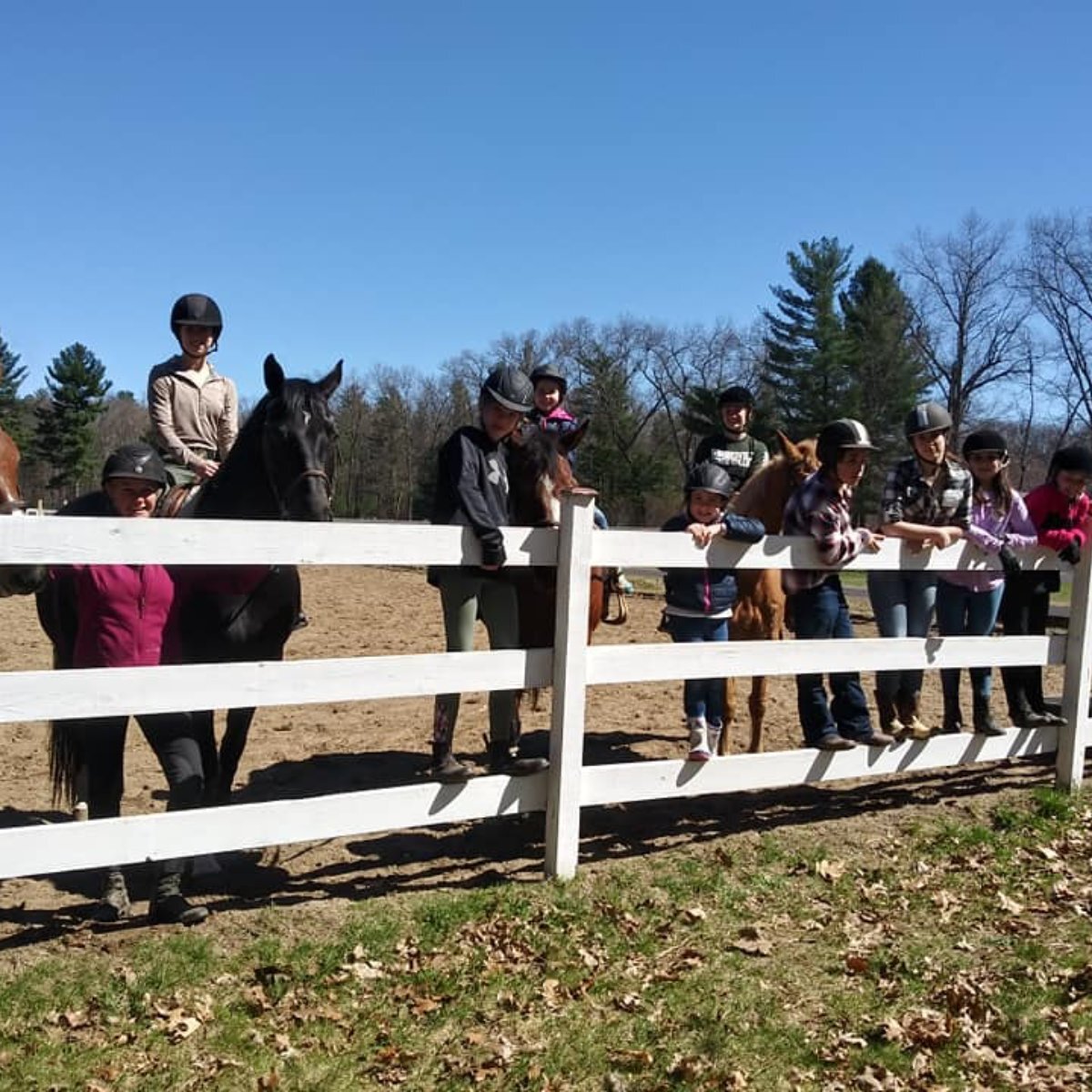 Equine Blvd Horse Camp photo 1