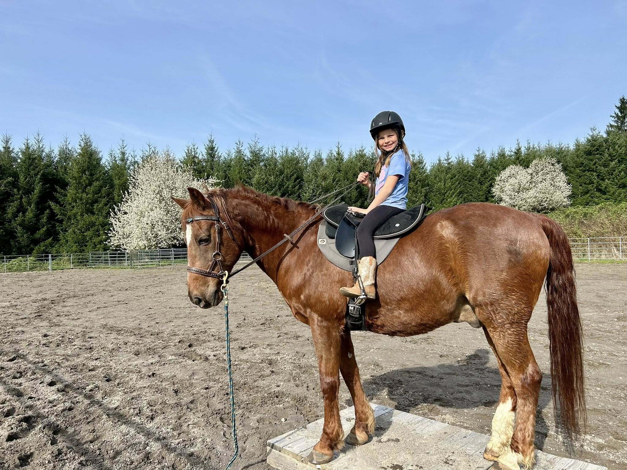 Fir Hollow Stables Summer Camp
