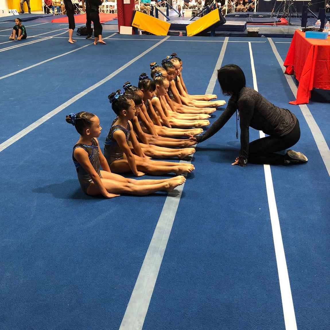 Flight School Gymnastics Day Camp photo 1