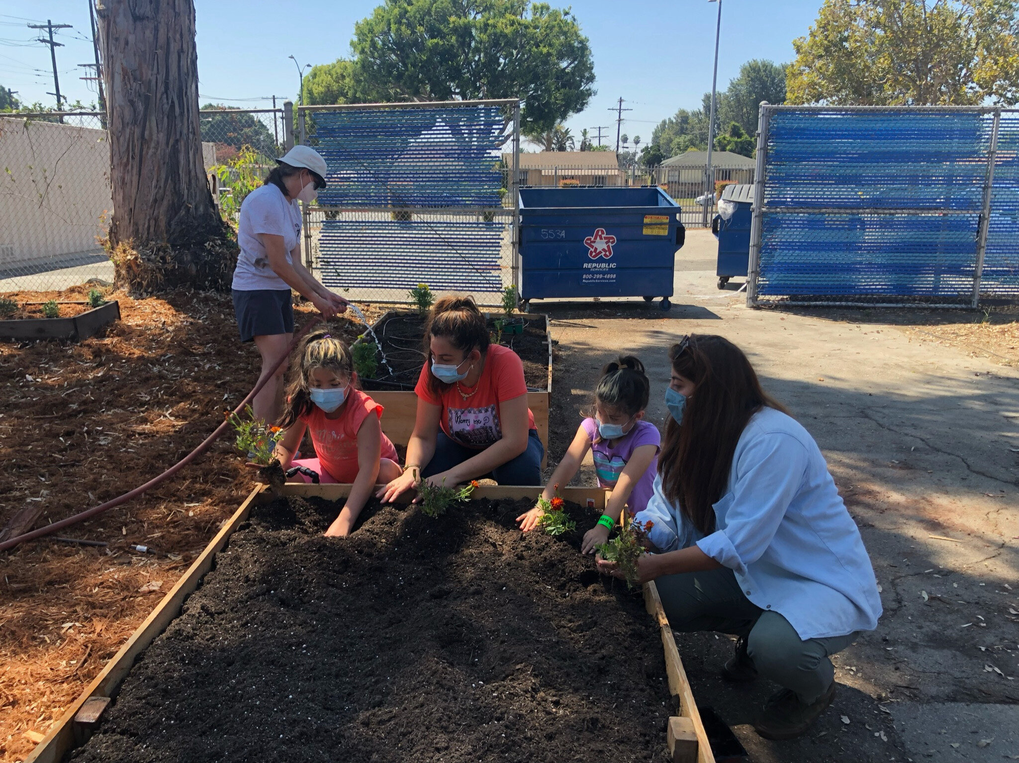 Garden School Foundations City Seedlings photo 1