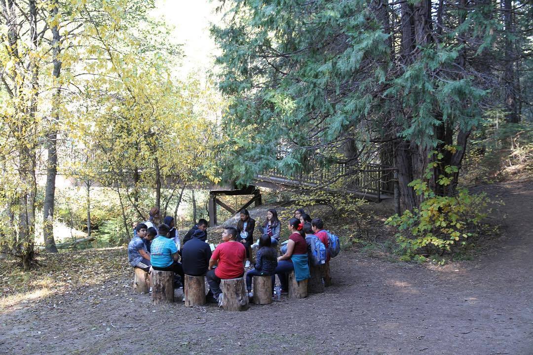 Green Meadows Outdoor Camp