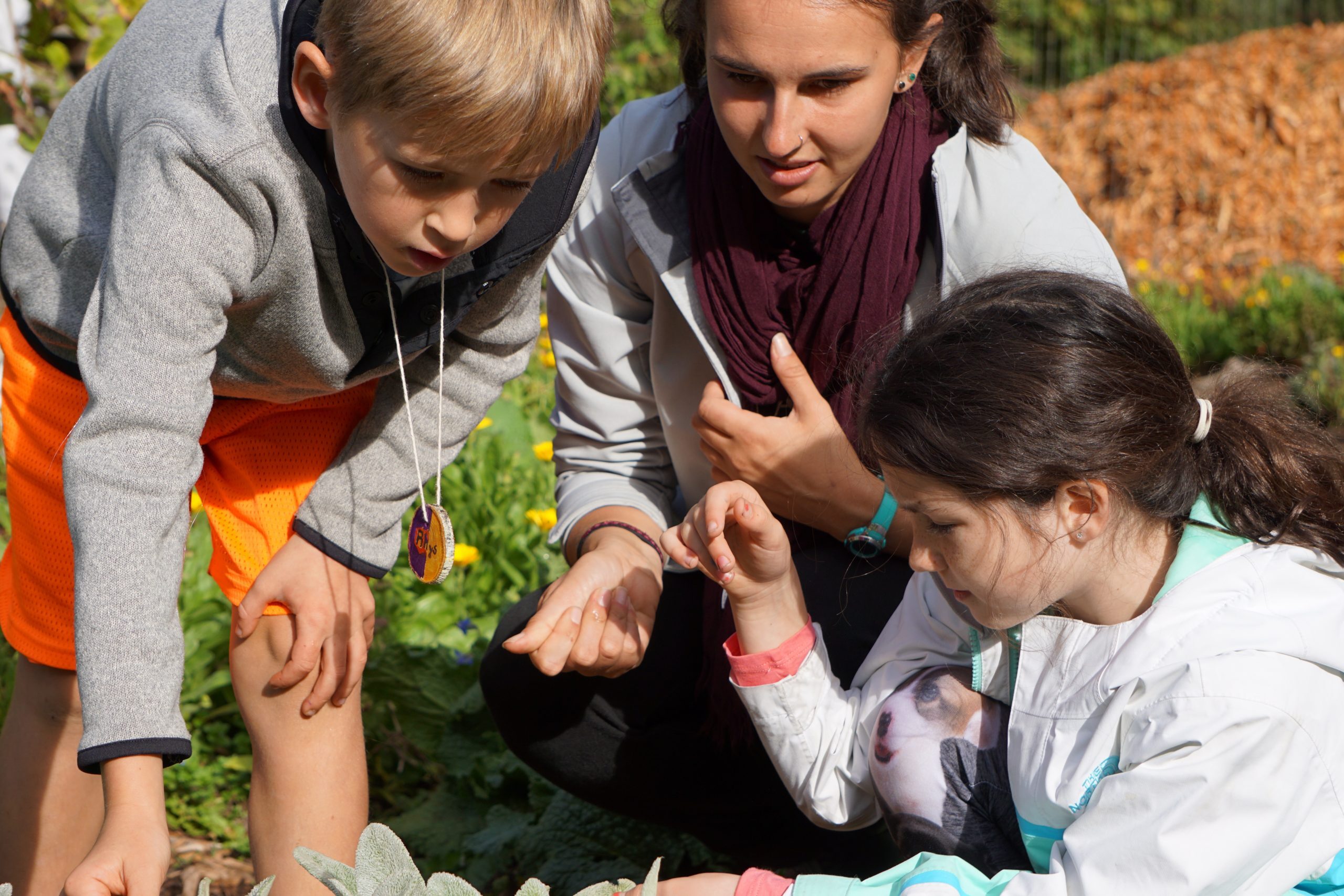 Hidden Villa Resident Camp