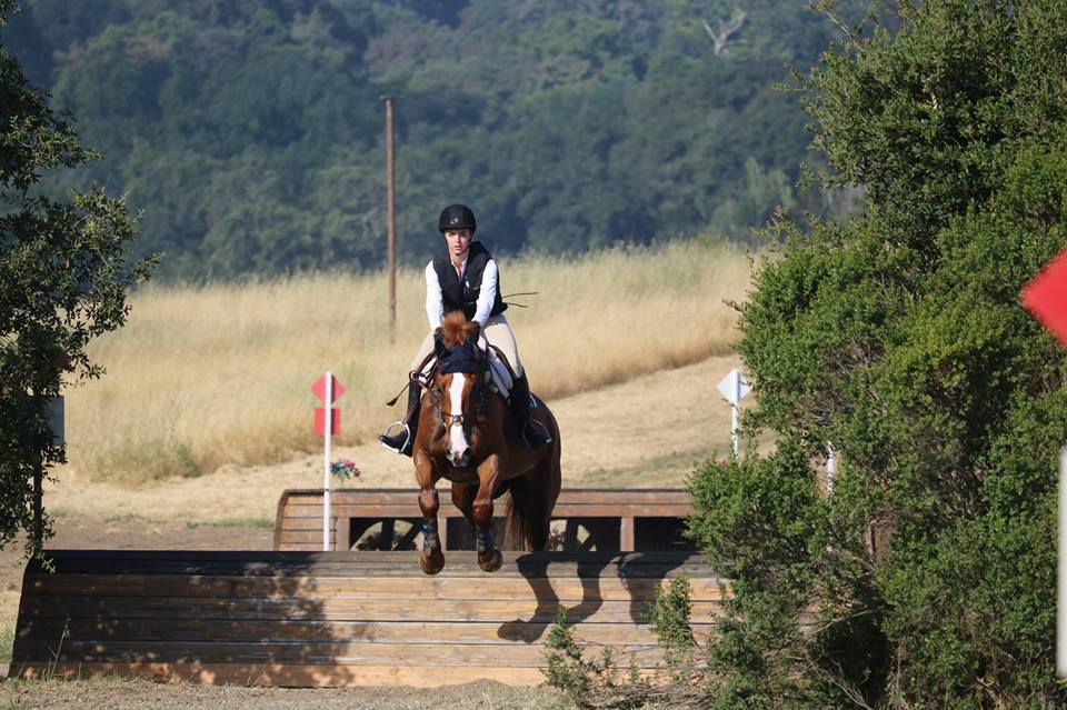 Horsemans Hangout Horsemanship Summer Day Camp