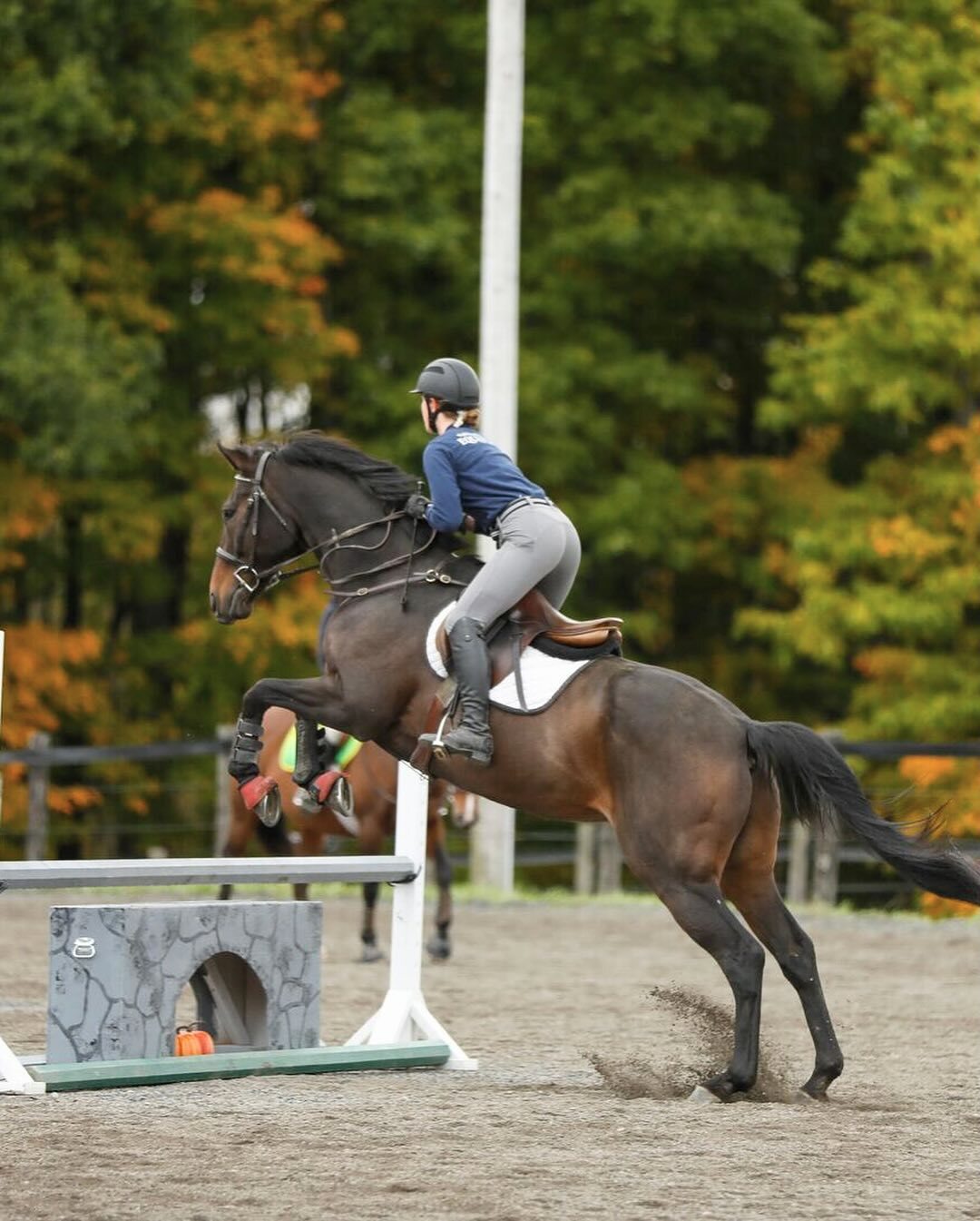 Houghton College Summer Equestrian Camp photo 1