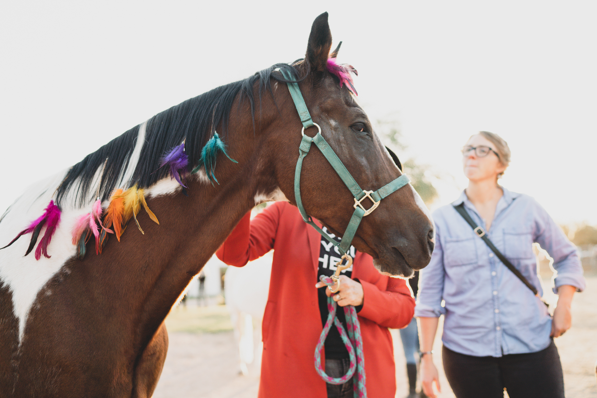 Camp Foothills-Catalina Foothills Community Schools photo 1
