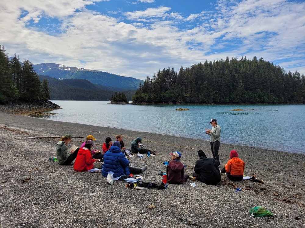Alaska Strings Camps photo 1