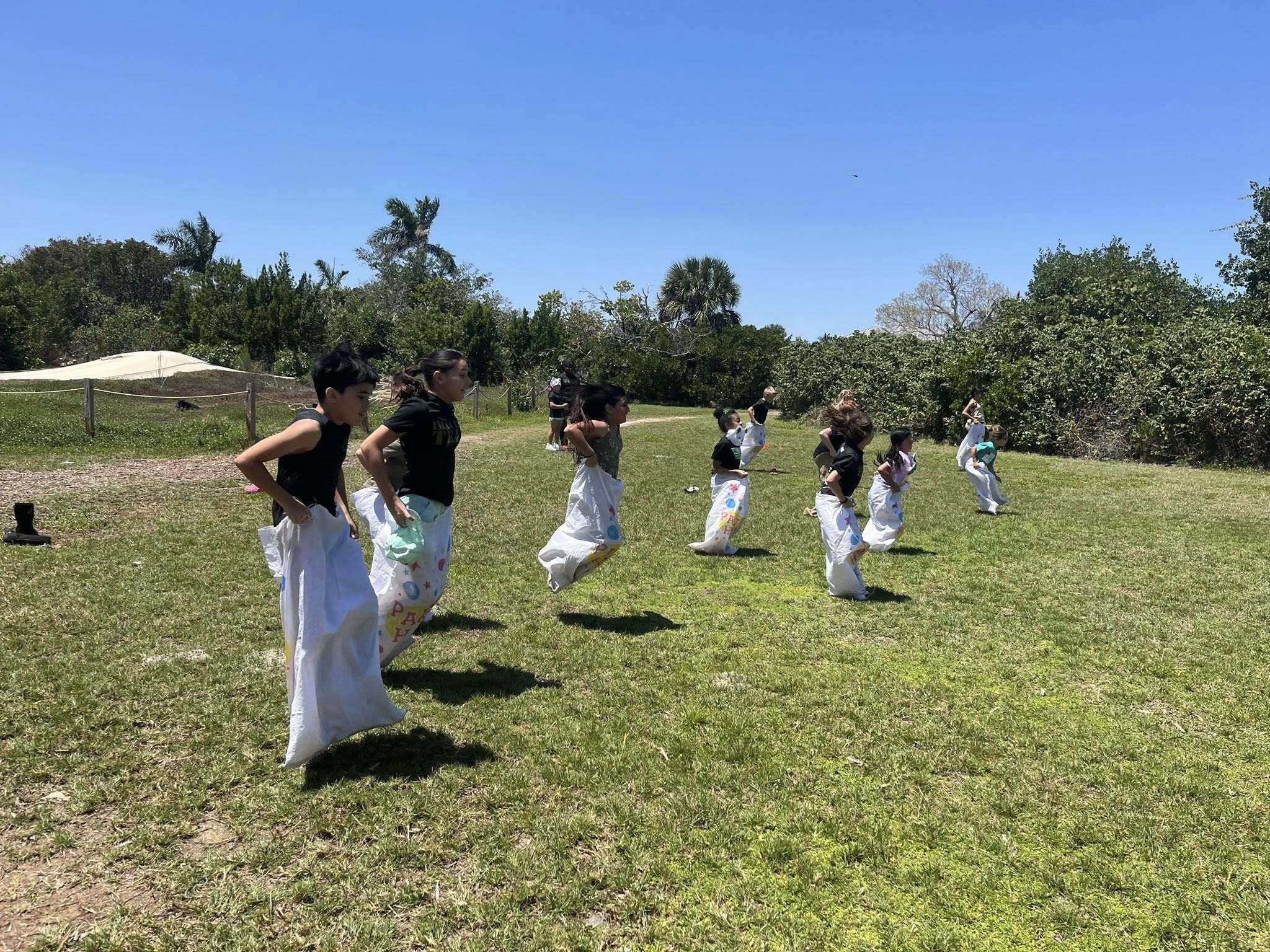 After School Karate Wesley Chapel Summer Camp photo 1