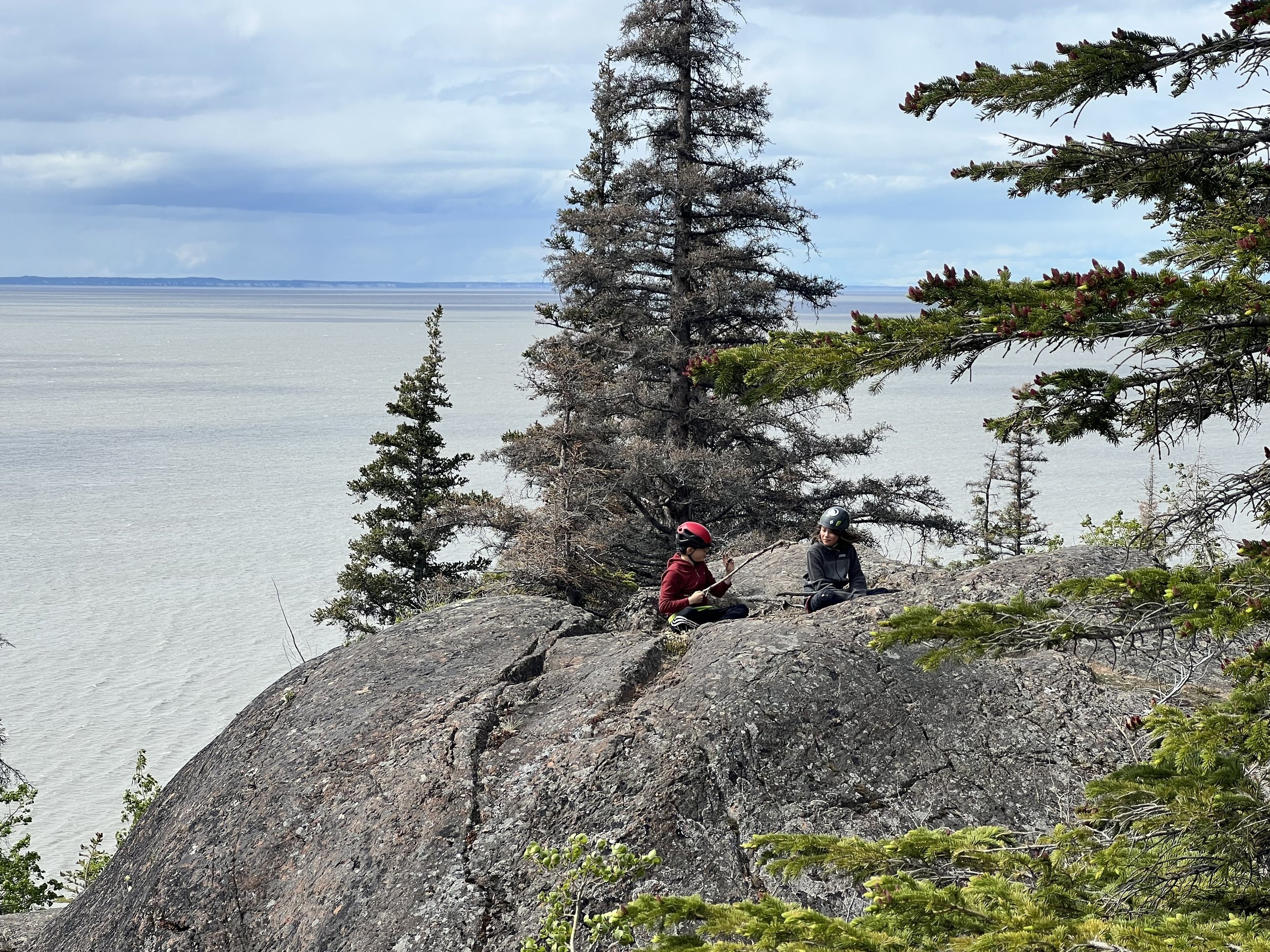 Into the Woods Alaska