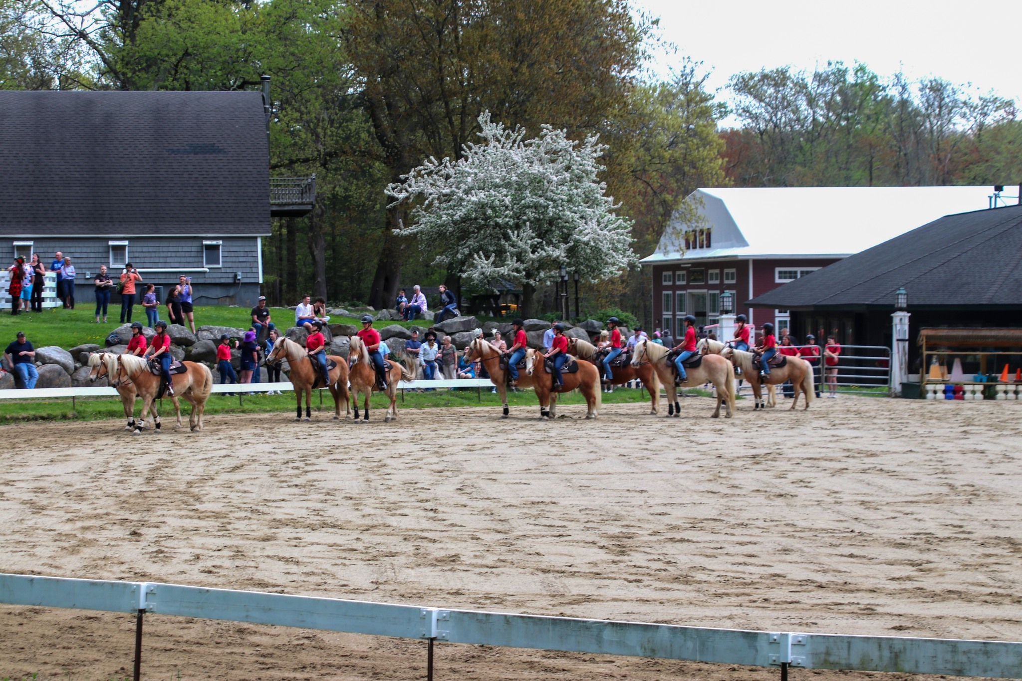 Ironstone Farm Summer Camp photo 1