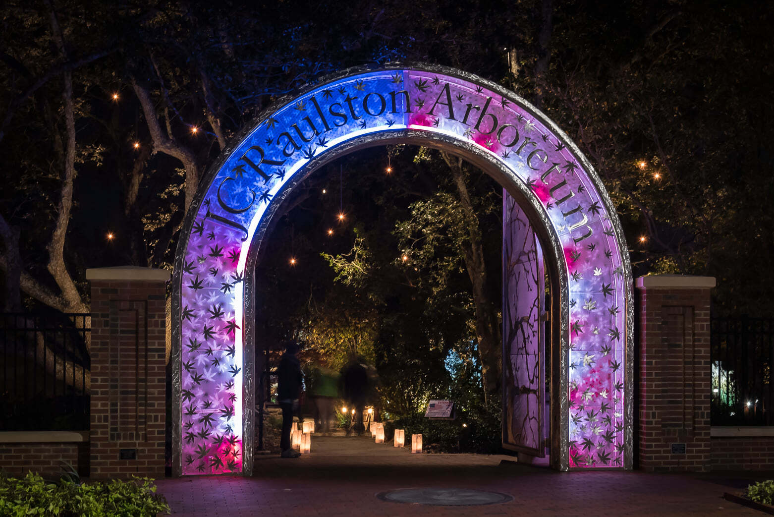 JC Raulston Arboretum photo 1