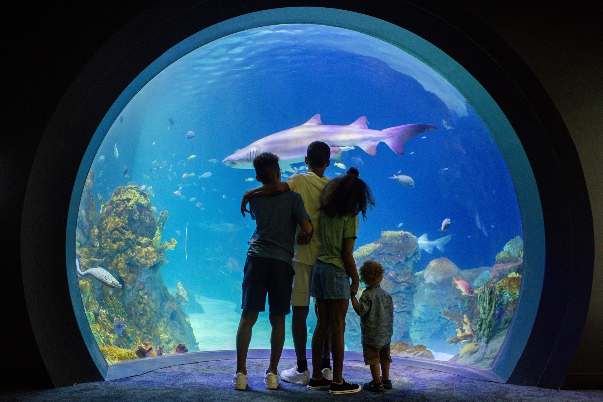 Junior Zoologist Camp