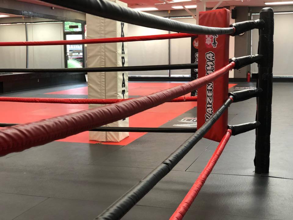 KAIZEN MMA Summer Camp Purcellville photo 1