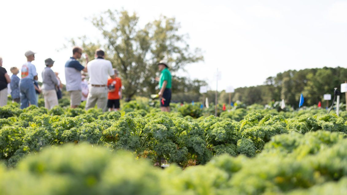 Legare Farms Summer Camp