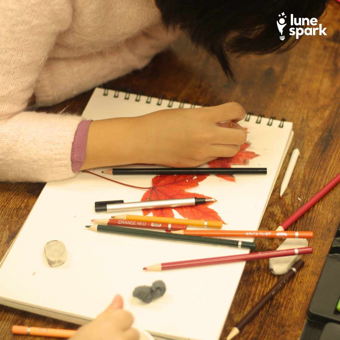 Terrific Scientific Summer Day Camps photo 1