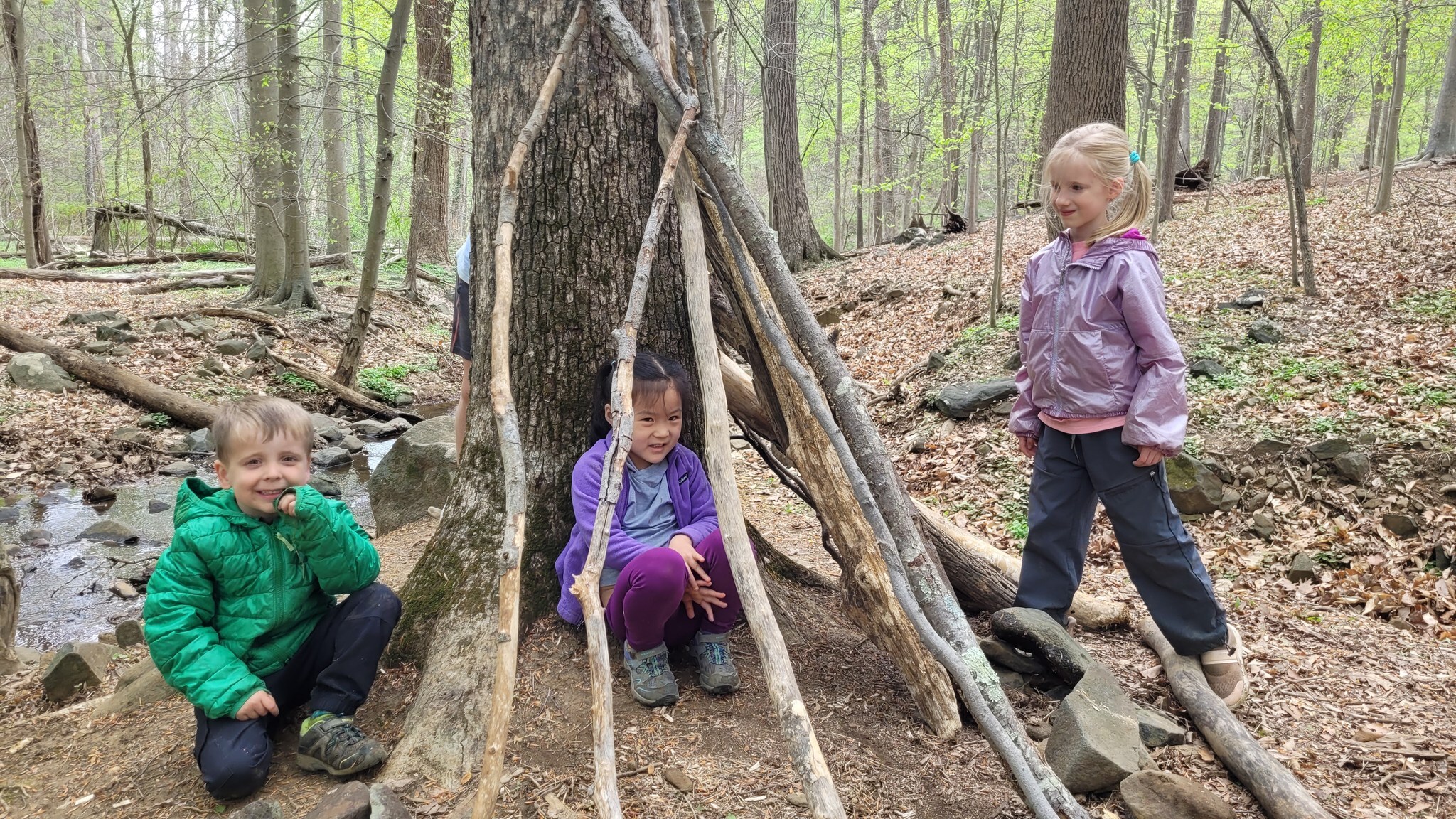 Lure Of The Wild Nature Camp photo 1