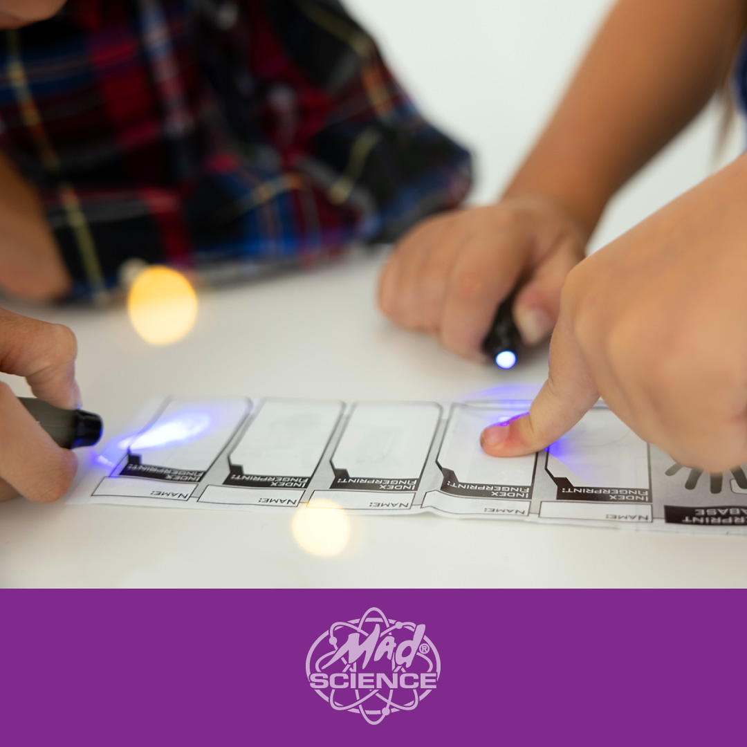 Cactus Day Camp photo 1