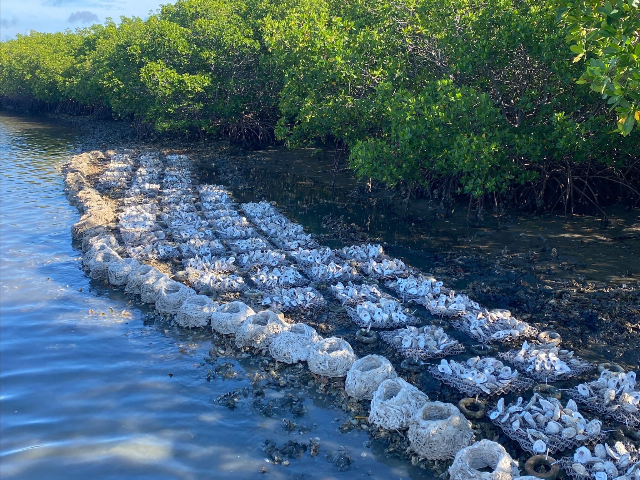 Marine Discovery Center Summer Adventures photo 1