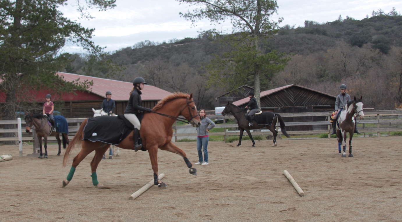 Mark West Stables Summer Horse Camps photo 1