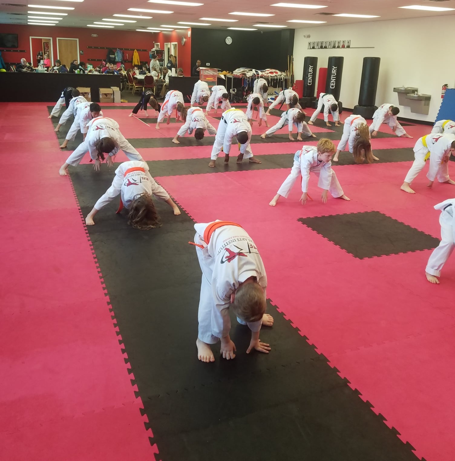 Martial Arts Institute - North Martial Arts Summer Camp photo 1