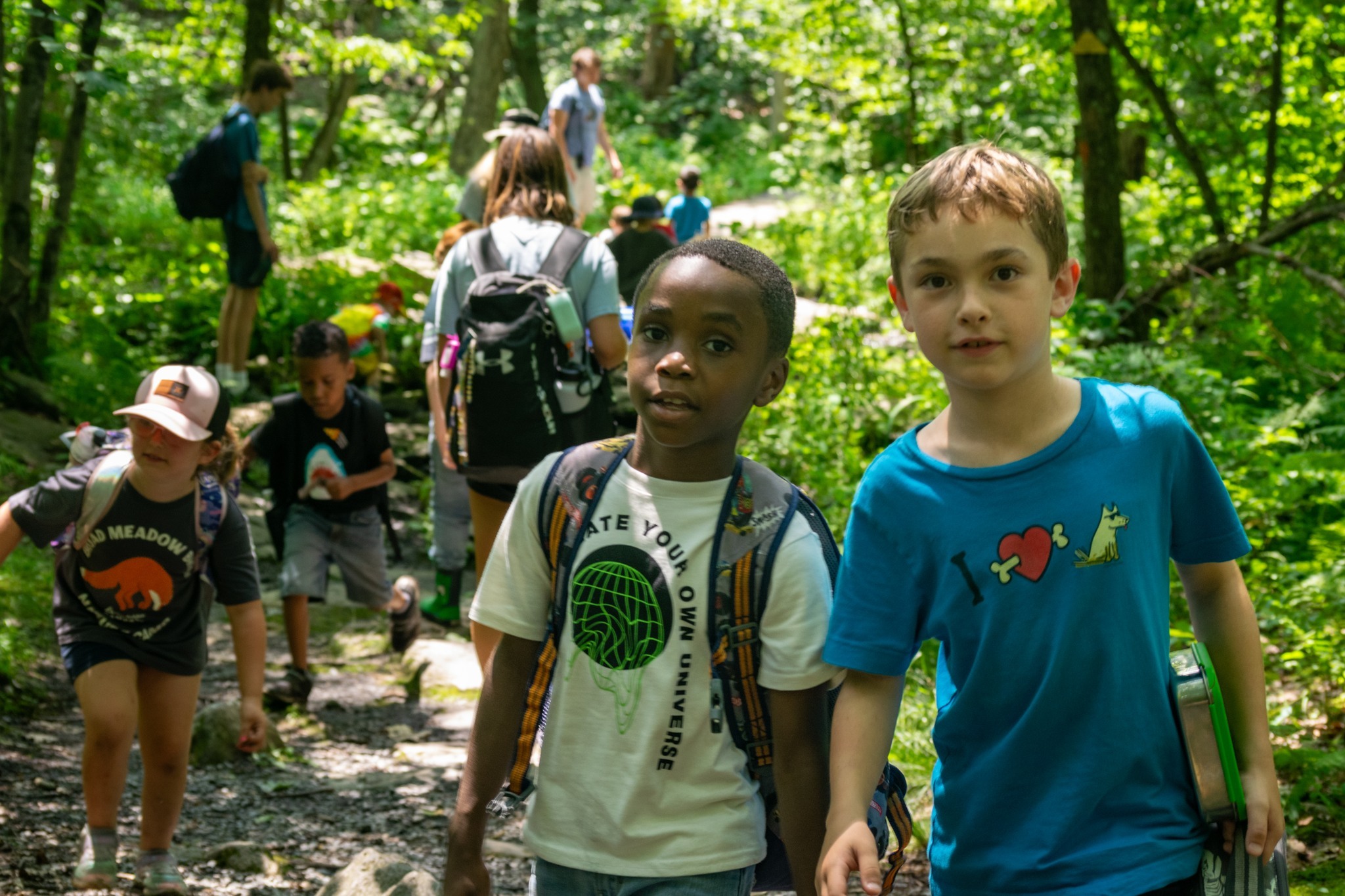 Mass Audubon's Broad Meadow Brook Nature Camp