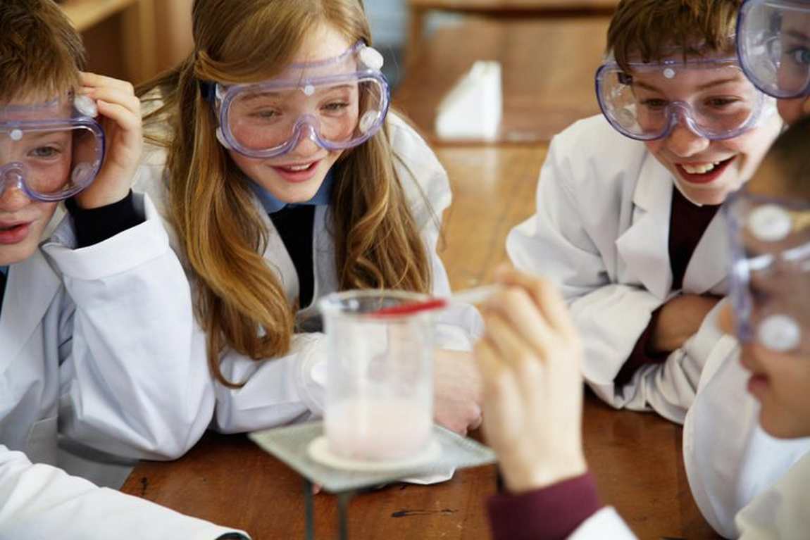 Middle Tree Summer Programs photo 1