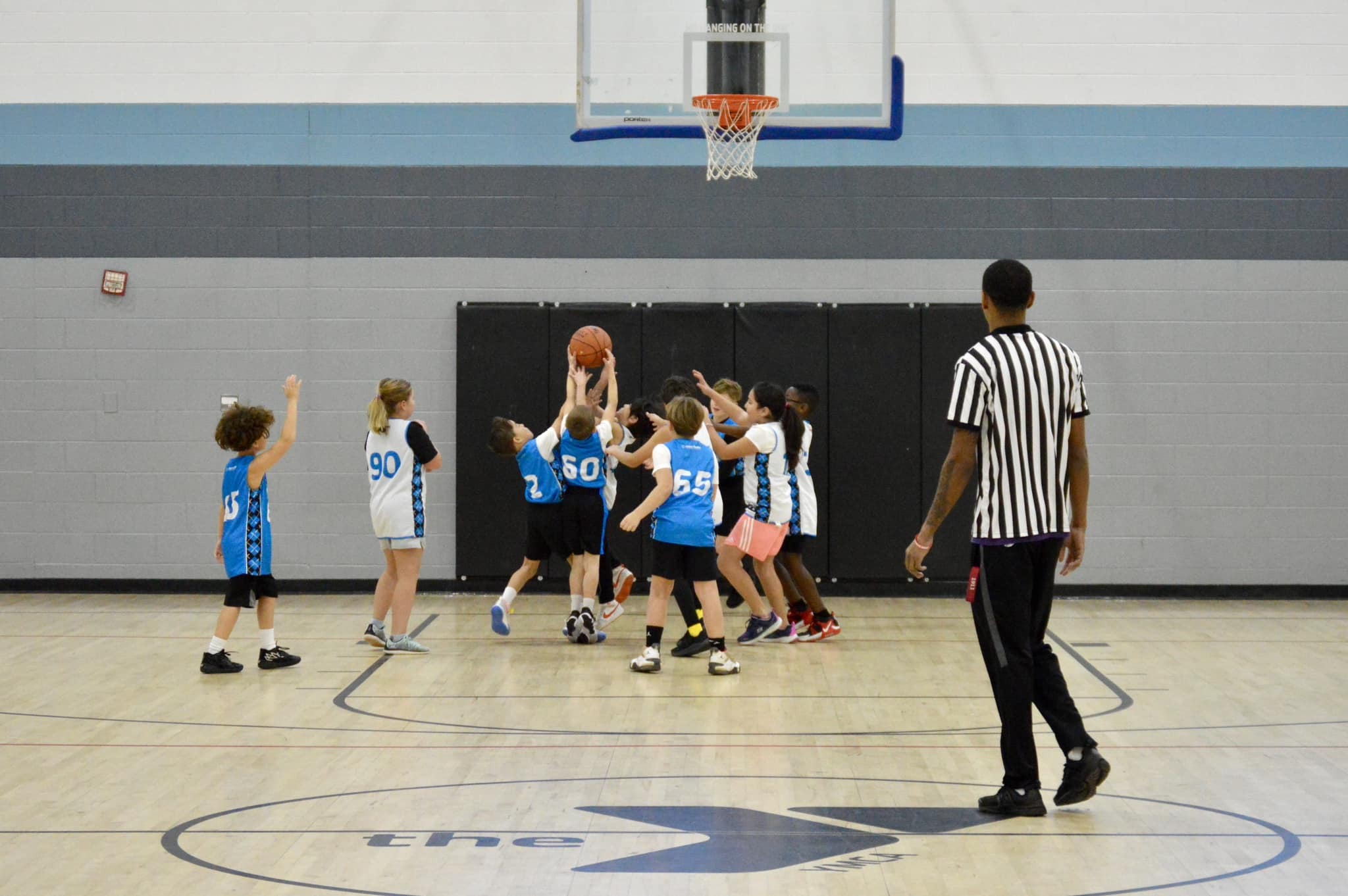 The Little Gym of South Charlotte Summer Camp photo 1