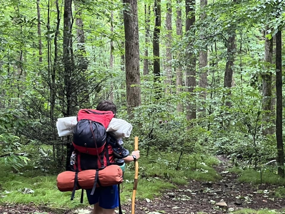 Mountain Roots photo 1