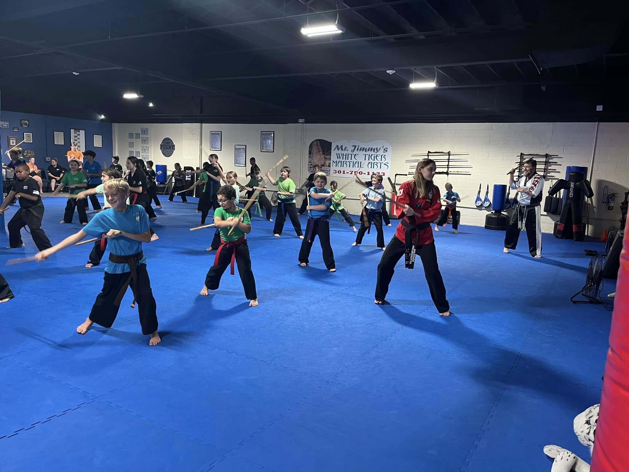 Mr Jimmys White Tiger Martial Arts Summer Camp photo 1