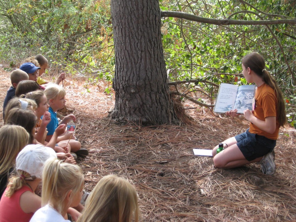 Nature Camp photo 1
