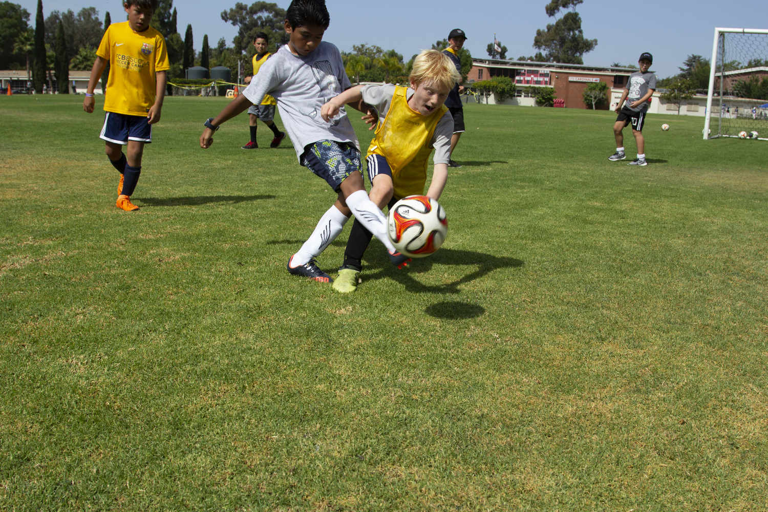 Next Level Sports Camp La Jolla photo 1