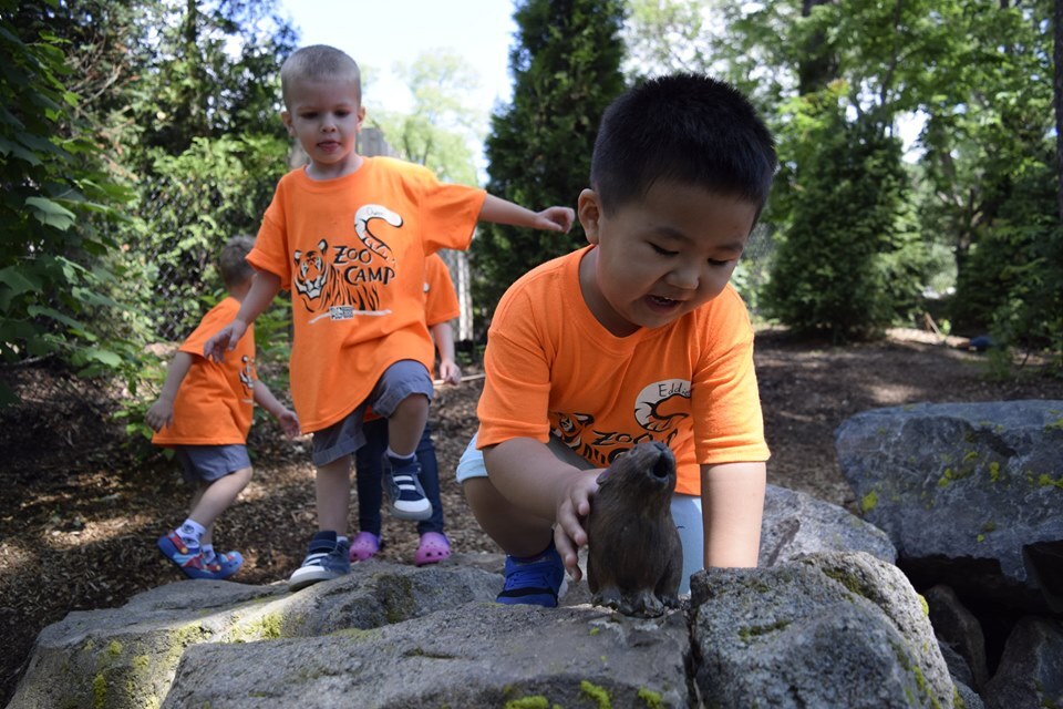 Omaha Zoo And Aquarium Camps photo 1