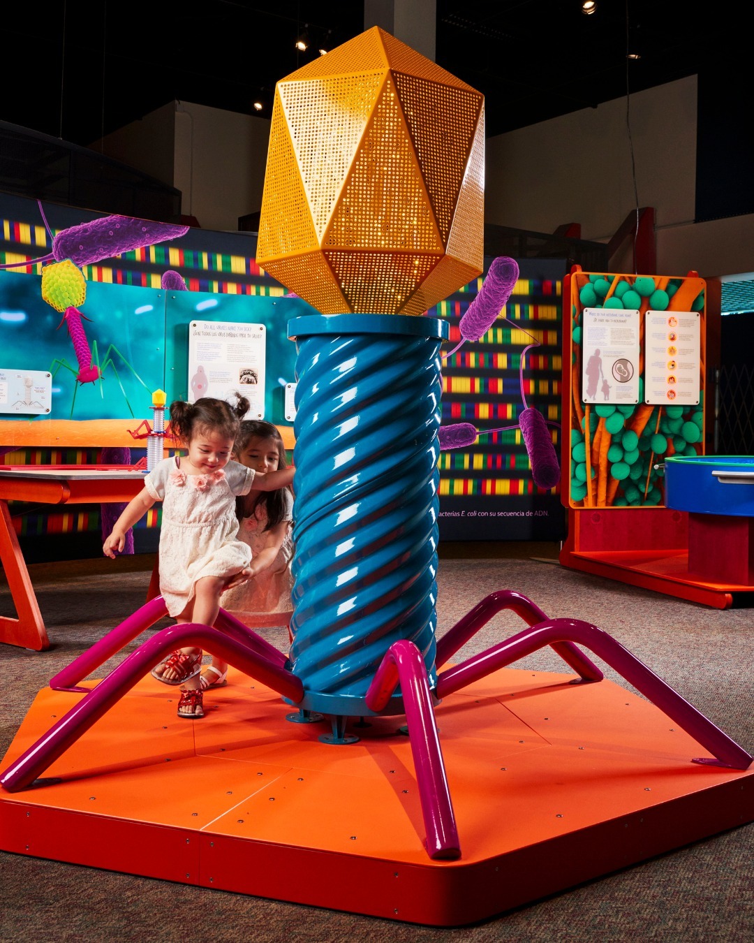 Camp Taloaili photo 1