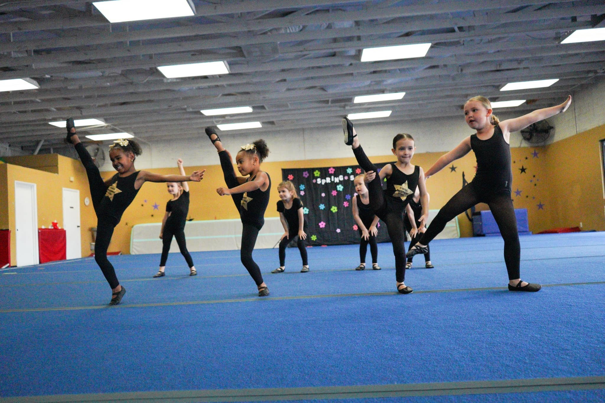 OPEN GYM - Ms. Carol's GYMkids