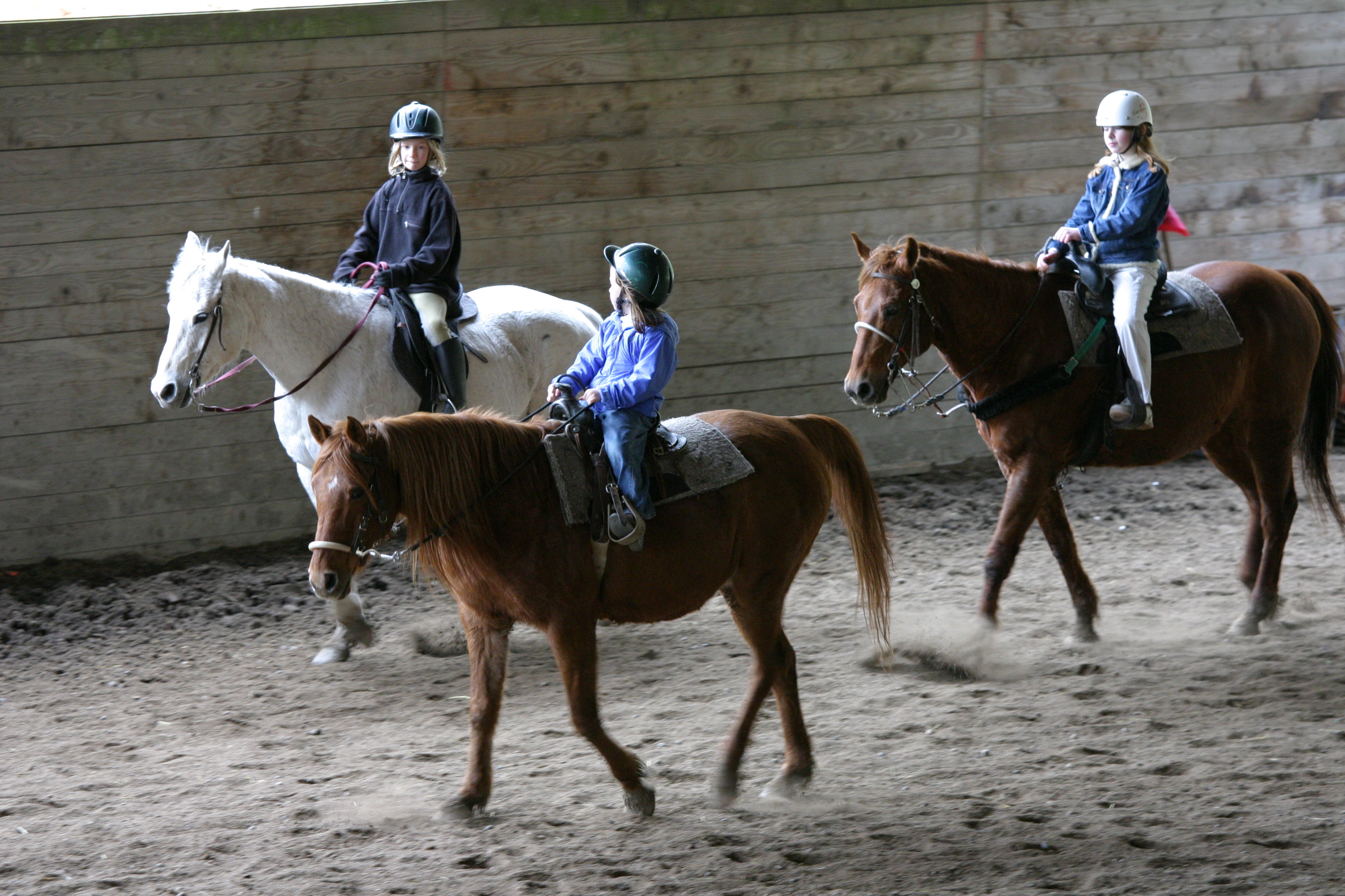 Overlake Farm Horse Camp photo 1