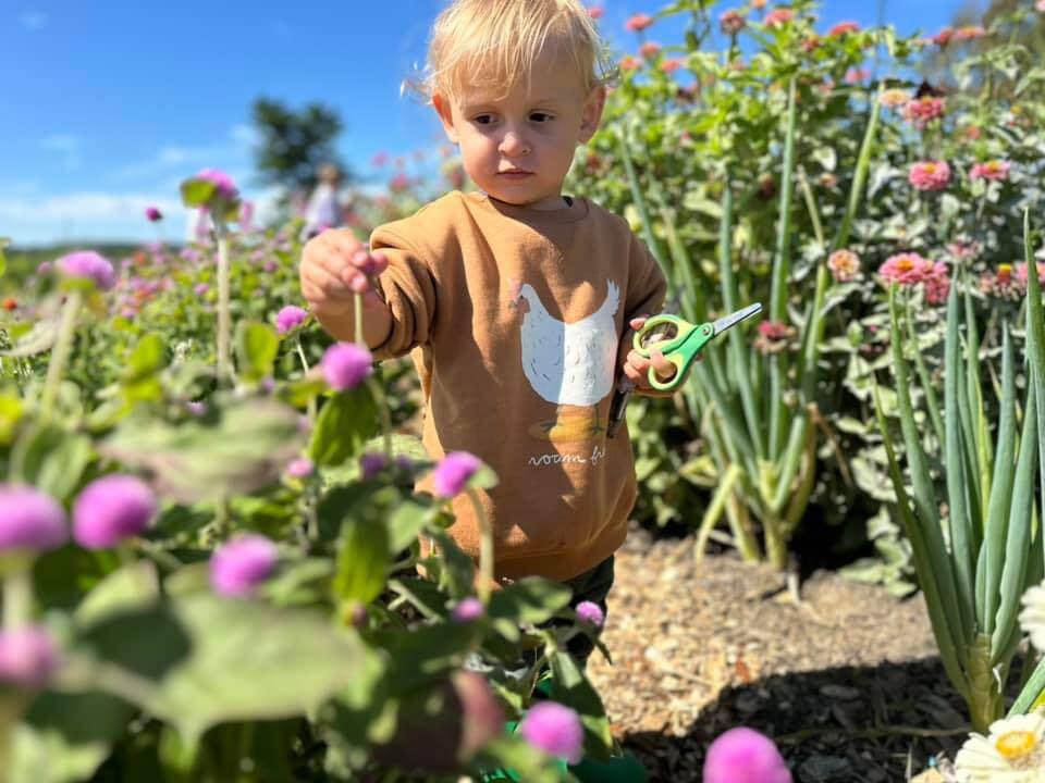 Overlook Farm Day Camp