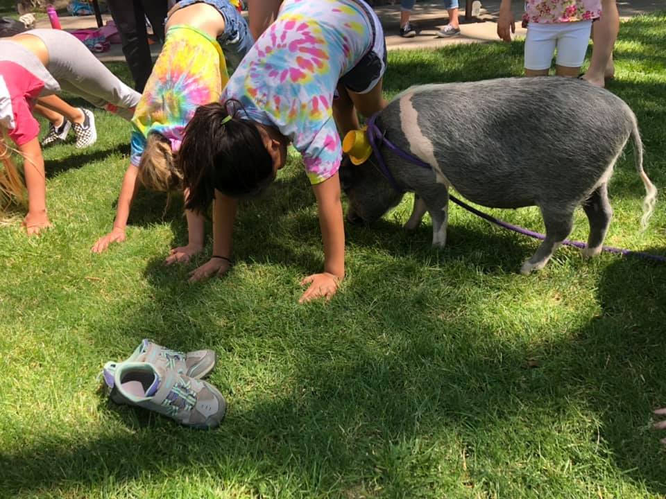 Panther Camp photo 1