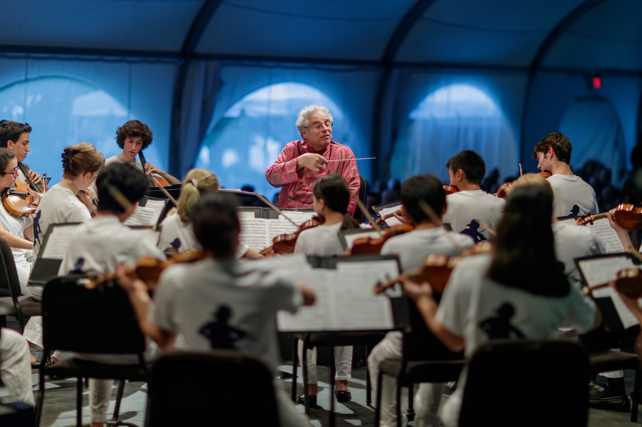 Perlman Music Summer School