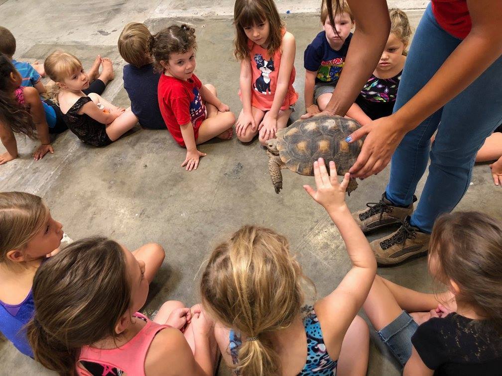 Phoenix Herpetological Sanctuary’s Camp