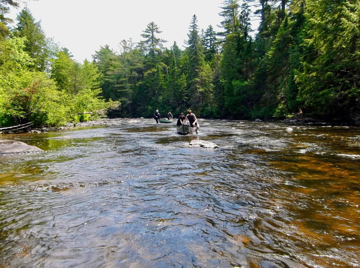 Nichols Day Camps photo 1