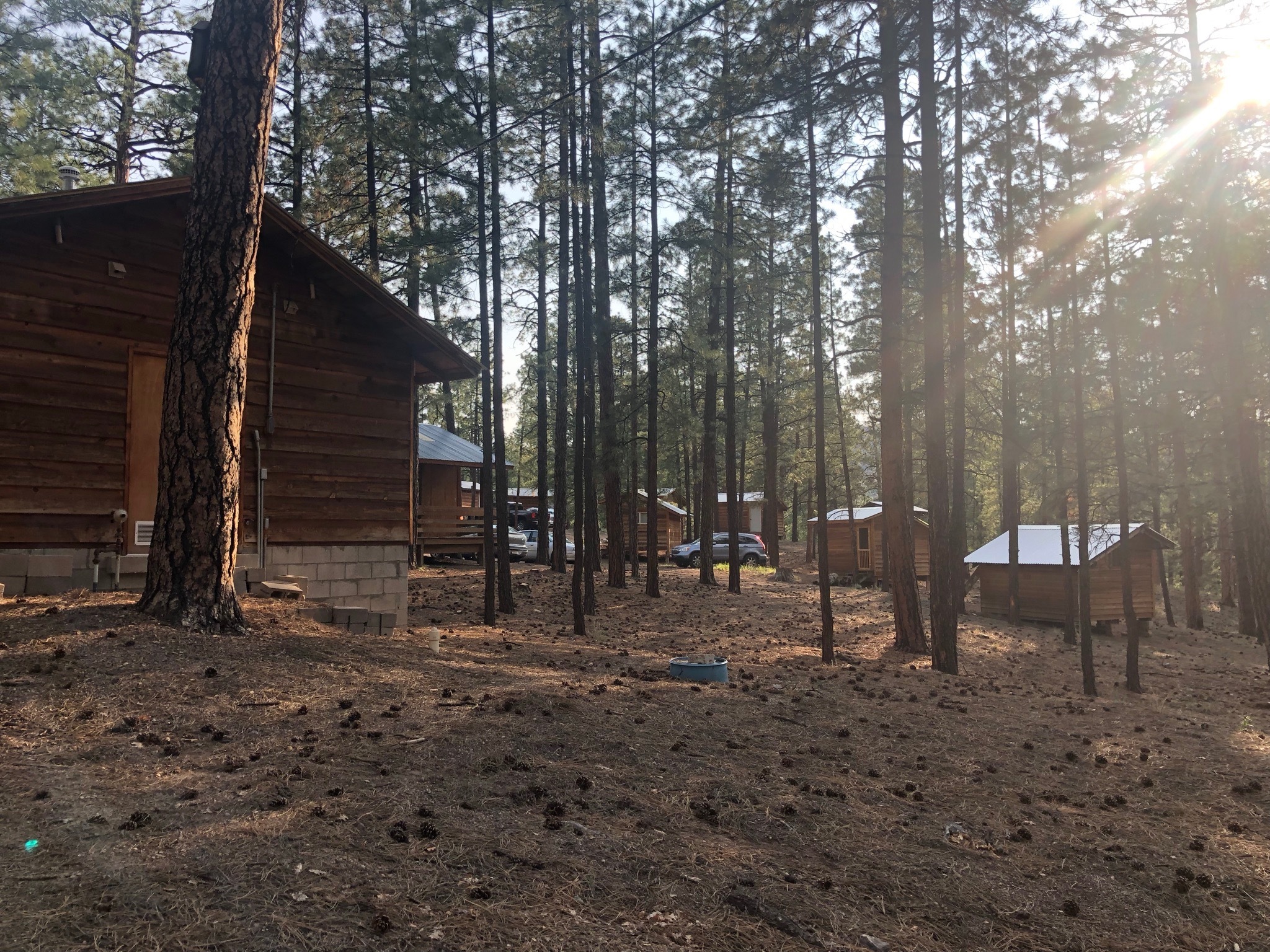 Ponderosa Christian Camp photo 1