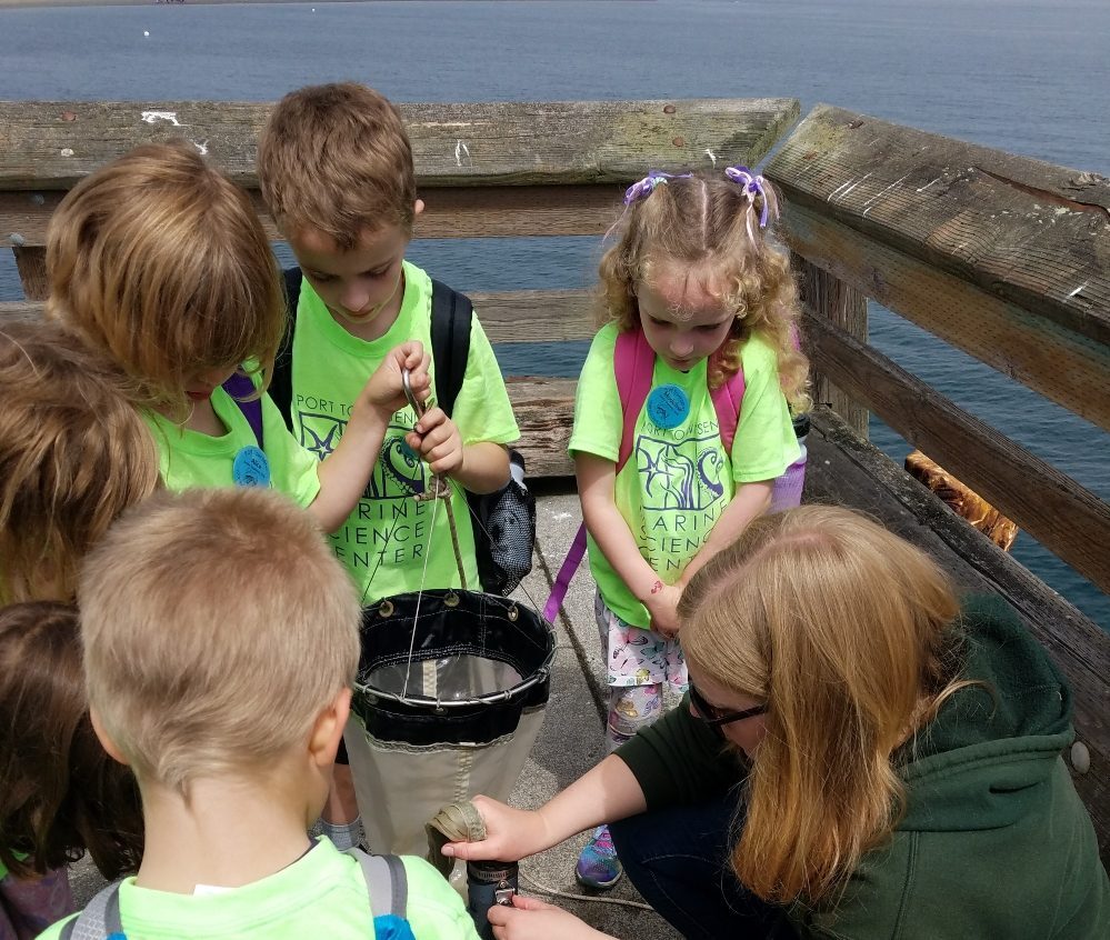 YMCA Camp Seymour photo 1