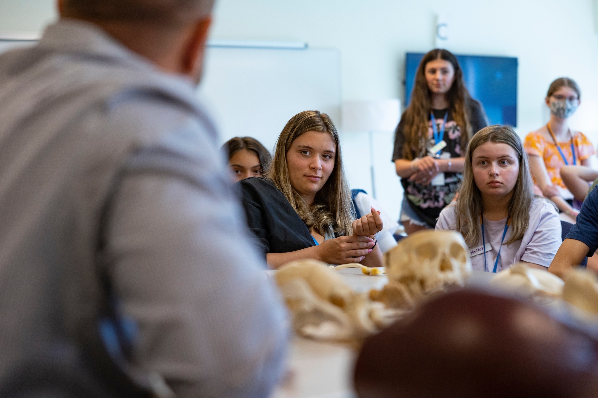 Quinnipiac University Summer Healthcare Career Exploration Academy